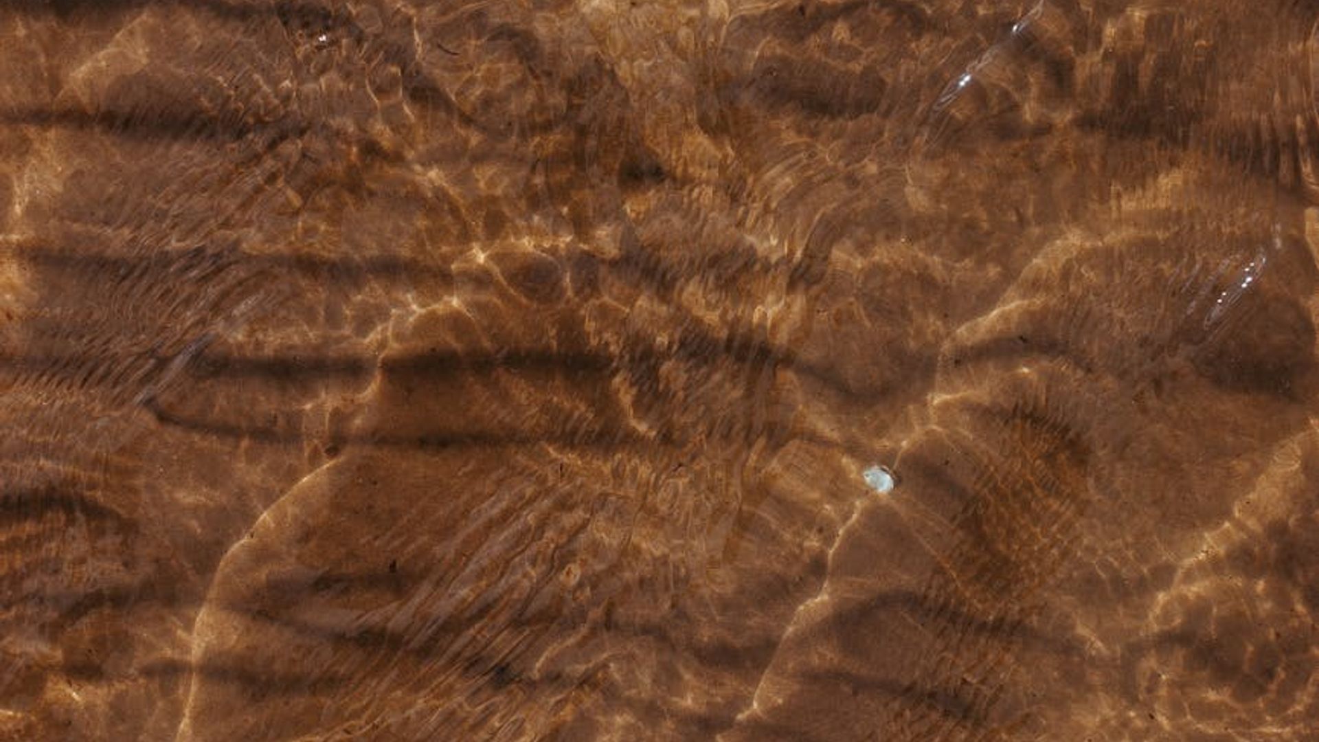 Abstract serene background suggesting space for movement and clarity.